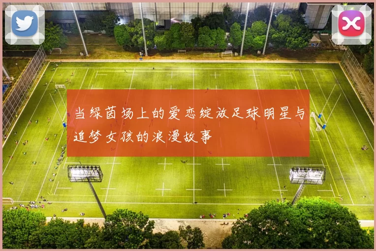 当绿茵场上的爱恋绽放足球明星与追梦女孩的浪漫故事