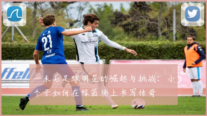 一米七足球明星的崛起与挑战：小个子如何在绿茵场上书写传奇