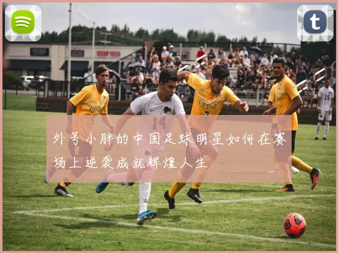 外号小胖的中国足球明星如何在赛场上逆袭成就辉煌人生