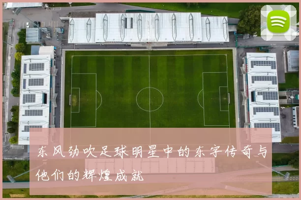 东风劲吹足球明星中的东字传奇与他们的辉煌成就