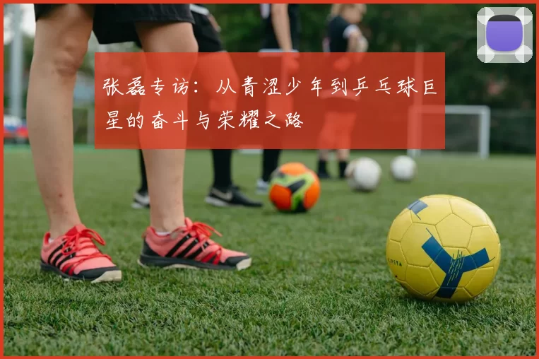张磊专访：从青涩少年到乒乓球巨星的奋斗与荣耀之路