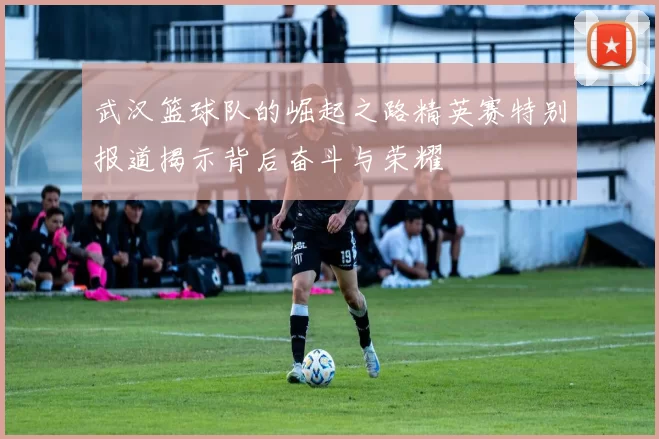 武汉篮球队的崛起之路精英赛特别报道揭示背后奋斗与荣耀