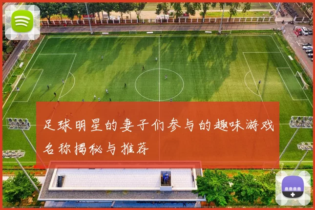 足球明星的妻子们参与的趣味游戏名称揭秘与推荐