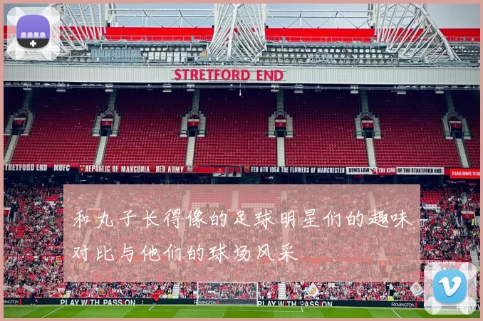 和丸子长得像的足球明星们的趣味对比与他们的球场风采