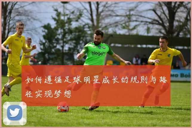 如何遵循足球明星成长的规则与路径实现梦想