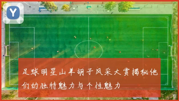 足球明星山羊胡子风采大赏揭秘他们的独特魅力与个性魅力