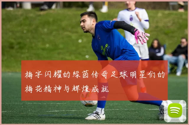 梅字闪耀的绿茵传奇足球明星们的梅花精神与辉煌成就